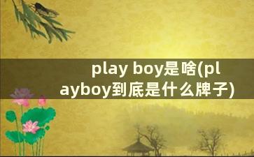 play boy是啥(playboy到底是什么牌子)